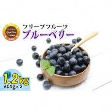 急速冷凍ブルーベリー1.2kg | ふるさと納税のお礼品