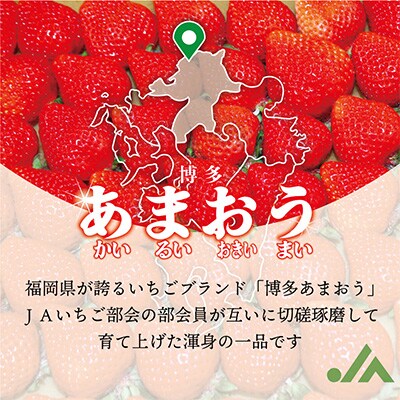 『2025年1月下旬より順次発送』博多あまおう特別8パック約2.2kg[F2245s]
