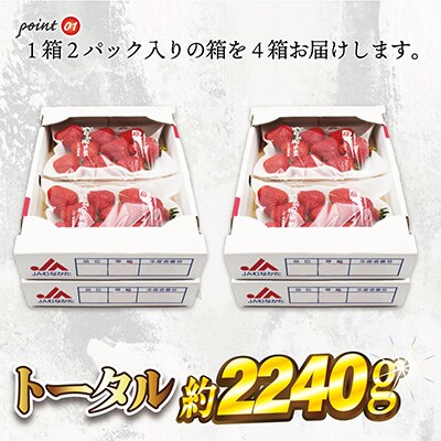 『2025年1月下旬より順次発送』博多あまおう特別8パック約2.2kg[F2245s]