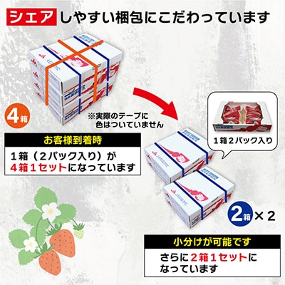 『2025年1月下旬より順次発送』博多あまおう特別8パック約2.2kg[F2245s]