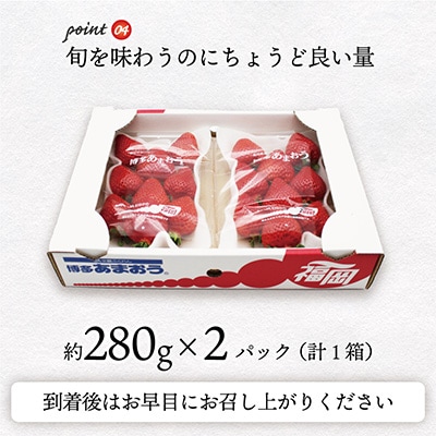 博多あまおう2パック【2024年3月中旬より発送】約560g[E2211a]