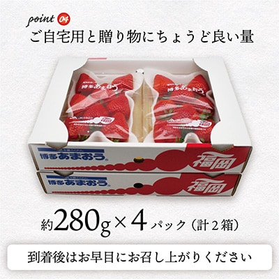 【2026年3月下旬より順次発送】博多あまおう4パック　約1,120g[G2213s]