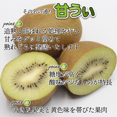 【2022年11～12月発送】福岡県ブランドキウイフルーツ「博多甘うぃ」化粧箱大玉9玉約1.4kg