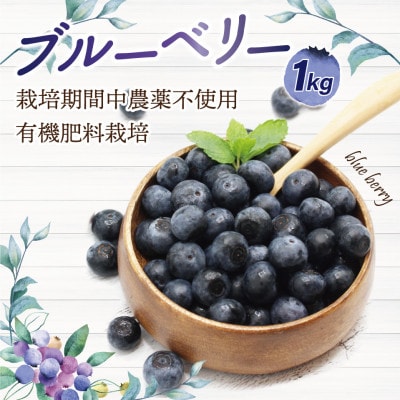 【2024年6月中旬より順次発送】栽培期間中農薬不使用ブルーベリー1kg[F2240]