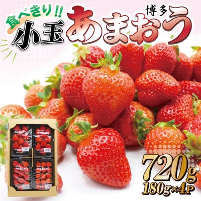 食べきりサイズ!博多あまおう4P【2024年1月より順次発送】約720g(2L～L)【E2318a】