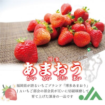 食べきりサイズ!博多あまおう4P【2024年1月より順次発送】約720g(2L～L)【E2318a】