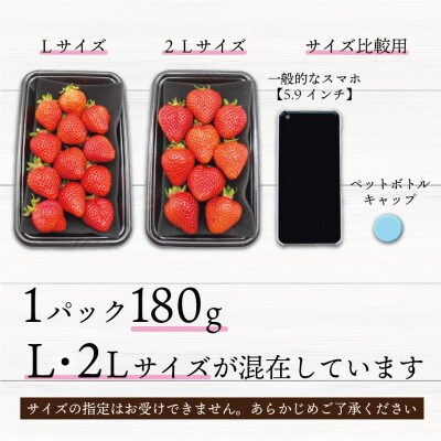 食べきりサイズ!博多あまおう4P【2024年1月より順次発送】約720g(2L～L)【E2318a】
