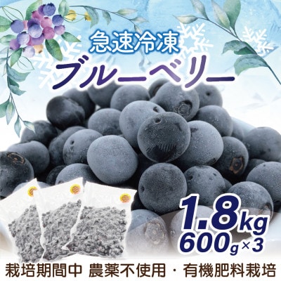 急速冷凍ブルーベリー600g×3パック　計1.8kg[E2296as]