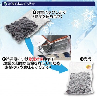 急速冷凍ブルーベリー600g×3パック　計1.8kg[E2296as]