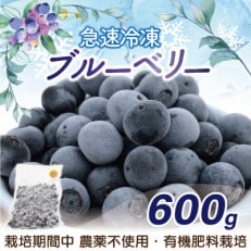 急速冷凍!栽培期間中農薬不使用ブルーベリー600g[E2270a]