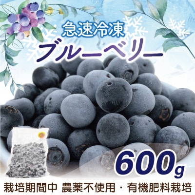 急速冷凍!栽培期間中農薬不使用ブルーベリー600g[E2270as]