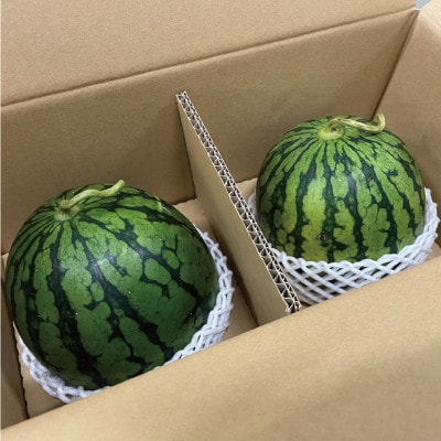 【2025年6～7月出荷】小玉スイカ(赤・黄)2玉(計4～5kg)食べ比べセット[F2272as]