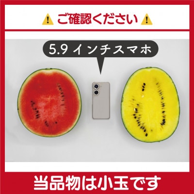 【2025年6～7月出荷】小玉スイカ(赤・黄)2玉(計4～5kg)食べ比べセット[F2272as]