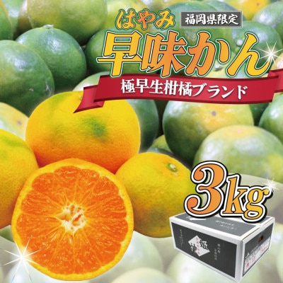 JAむなかたブランドみかん【姫の神】(早味かん)約3kg[F2280as]