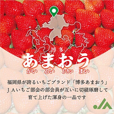【2027年3月下旬より順次発送】博多あまおう2パック　約500g[G2211a]