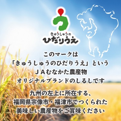 【R7年産】R7年11月～JAより順次発送 福岡県ブランド米「元気つくし5kg」2袋[G2311]