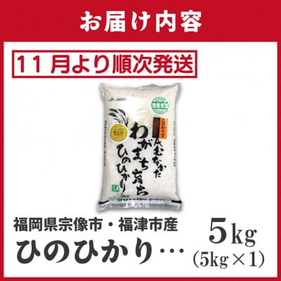 【R7年産】R7年11月～JAより順次発送 「ひのひかり5kg」1袋[G2314a]
