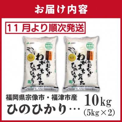 【R7年産】R7年11月～JAより順次発送 「ひのひかり5kg」2袋[G2315a]