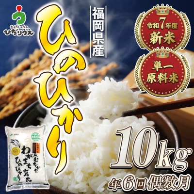 【定期便全6回】JAよりお届け、R8年2月～発送開始「ひのひかり」10kg×6回[G5102a]