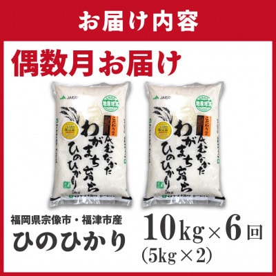 【定期便全6回】JAよりお届け、R8年2月～発送開始「ひのひかり」10kg×6回[G5102a]
