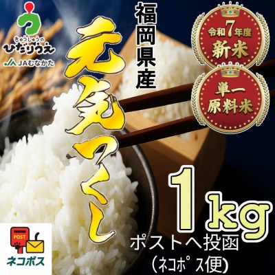 【令和7年産米】JAよりお届け!福岡県ブランド米「元気つくし」 1kg[G2305]