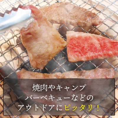 博多和牛焼肉用(バラ)800g[F2252]