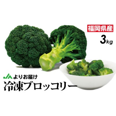 福岡県産 冷凍ブロッコリー3kg(1kg×3袋)[H2258]