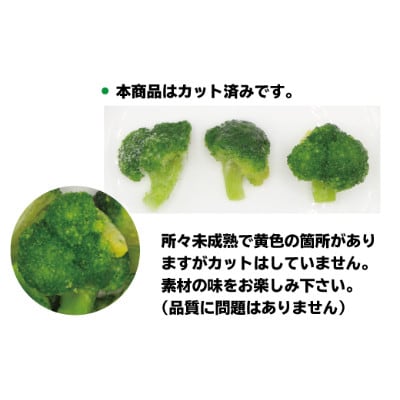 福岡県産 冷凍ブロッコリー3kg(1kg×3袋)[H2258]