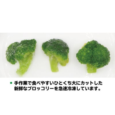 福岡県産 冷凍ブロッコリー3kg(1kg×3袋)[H2258]