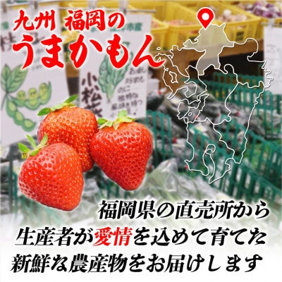 JAむなかた農産物直売所よりお届け!福津・むなかた旬の野菜と果物 計8品[H2275]