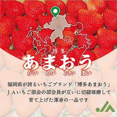 【発送月固定定期便】博多あまおう4パック [E5342a]全3回