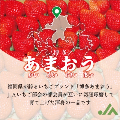 【発送月固定定期便】【2026年2～4月発送】博多あまおう4P 約1,120g(G5342s)全3回