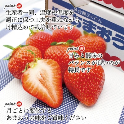 【発送月固定定期便】【2026年2～4月発送】博多あまおう4P 約1,120g(G5342s)全3回