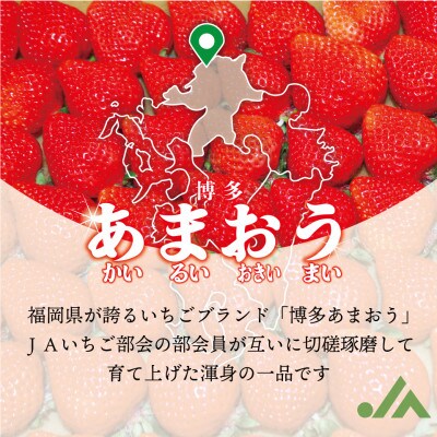 【発送月固定定期便】【2026年2～4月発送】博多あまおう2P 約560g[G5352s]全3回