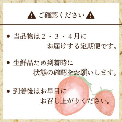 【発送月固定定期便】【2026年2～4月発送】博多あまおう2P 約560g[G5352s]全3回