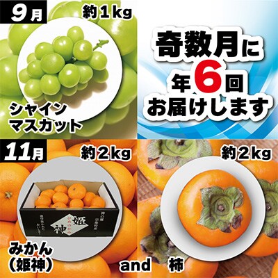 2023年1月発送開始『定期便』福岡県産旬のフルーツ定期便(年6回奇数月コース)全6回