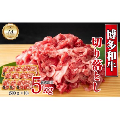 博多和牛切り落とし5kg(500g×10P)[F0097s]