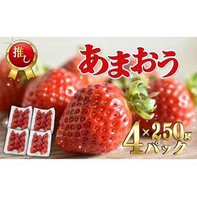 福津産あまおう約250g×4パック[F0104]