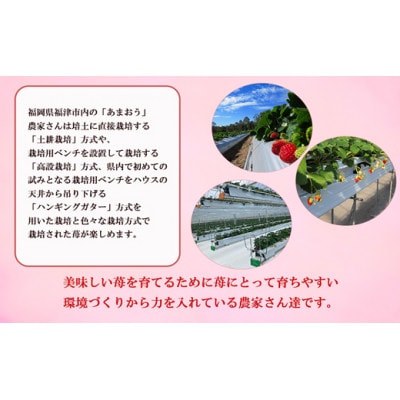 【2026年1月～順次発送】福津産あまおう(約1080g)【スカイフローラファーム】[G0150]