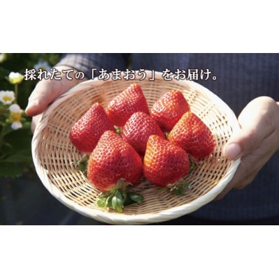 【2026年1月～順次発送】福津産あまおう(約1080g)【スカイフローラファーム】[G0150]