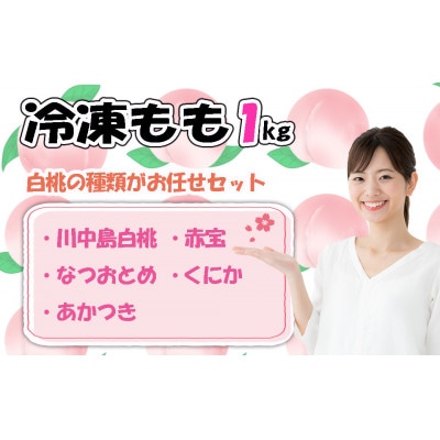 【2026年8月より順次発送】品種おまかせ冷凍もも小分けパック(250g×4P)[H0157a]