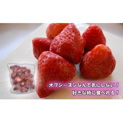 摘みたて瞬間★冷凍あまおう小分けパック1kg(250g×4P)[H0106]