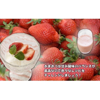摘みたて瞬間★冷凍あまおう小分けパック1kg(250g×4P)[H0106]
