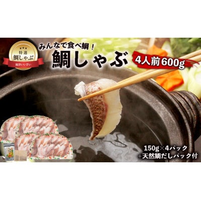 鯛しゃぶ4人前600g(150g×4パック) 天然鯛だしパック付き[H0109]