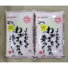 【JAむなかたお米パール店】夢つくし精米10kg[E2234]