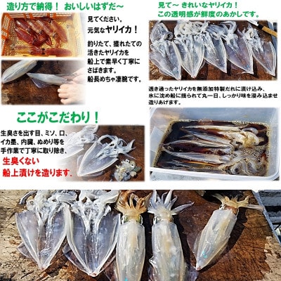 ヤリイカ船上漬け 8パック 冷凍[F4022s]