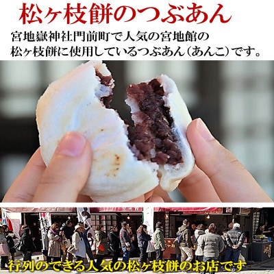 【毎月定期便】宮地館謹製 大納言つぶあん 800g [F4498sT12]全12回