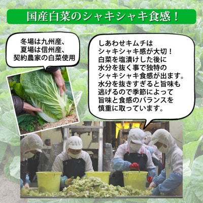 ふくつの母心の「こどもキムチ」200g×8袋　計1.6kg[F4431s]