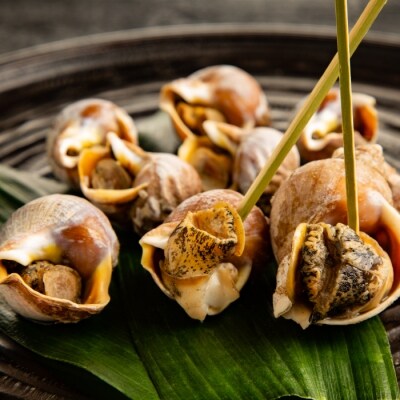 エゾばい貝(磯ツブ)【醤油煮】1.5kg(300g×5) | ふるさと納税のお礼品