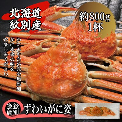 【北海道紋別産】ずわいがに姿 1尾約800g (無添加 かに ずわいがに 高品質) 